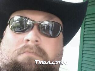 Txbullstud