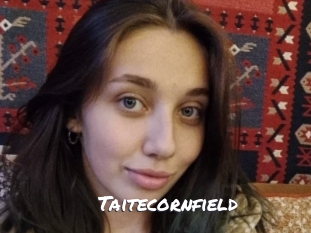 Taitecornfield