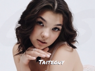 Taiteguy