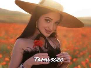 Tamilsgeo