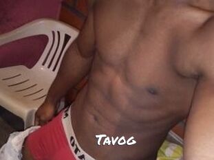 Tavog