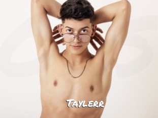 taylerr Ochranne Siete
