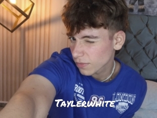taylerwhite Ochranne Siete