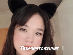 Terminatorbunny