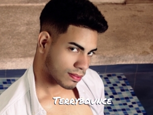 Terrybounce