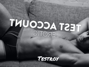 Testroy