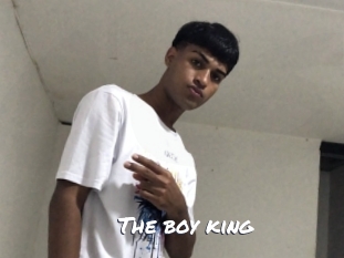 the_boy_king Ochranne Siete
