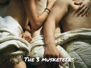 the_3_musketeers Ochranne Siete