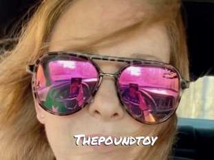 Thepoundtoy