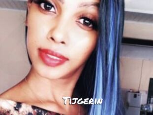 Tijgerin