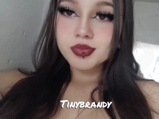Tinybrandy