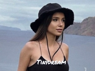 Tinydream