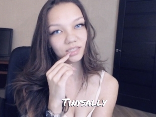 tinysally Ochranne Siete