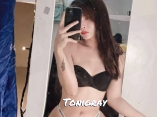 tonigray Ochranne Siete