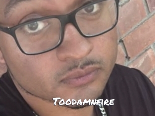Toodamnfire