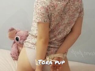 Tora_pup