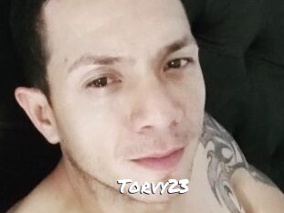 Torvy23