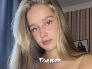 torydee Ochranne Siete