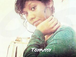Toypussy