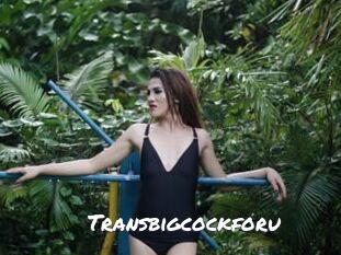 Transbigcockforu