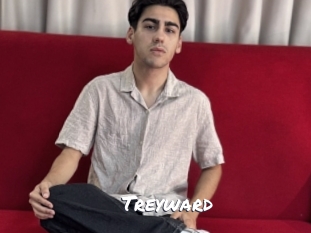 treyward Ochranne Siete