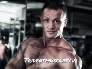 Tridentmuscles4u