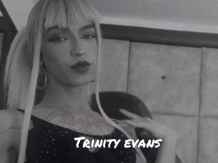 trinity_evans Ochranne Siete