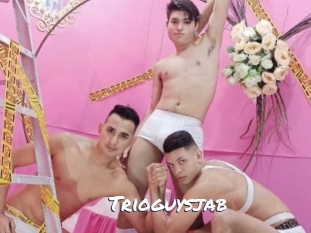 trioguysjab Ochranne Siete