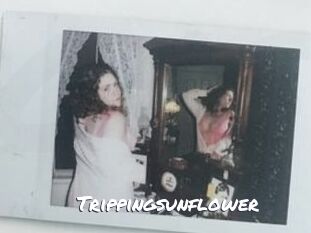 Trippingsunflower