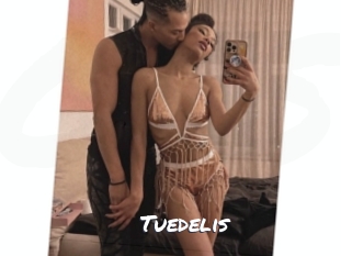 tuedelis Ochranne Siete