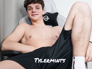 tylermints Ochranne Siete
