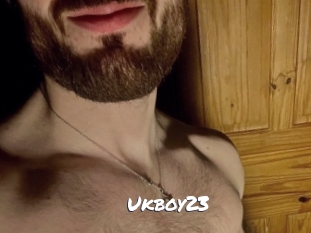 ukboy23 Ochranne Siete