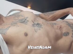 VeinsAdam