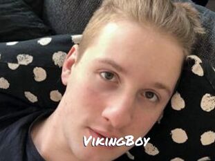 VikingBoy