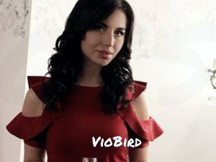 VioBird