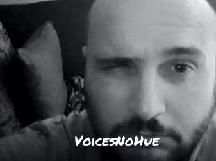 VoicesNoHue