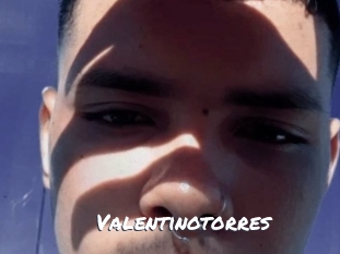 valentinotorres Ochranne Siete