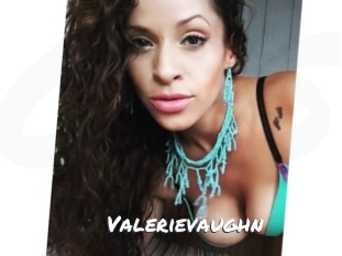 valerievaughn Ochranne Siete