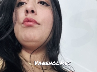 Vaneholmes