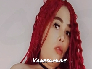 Vanesamude