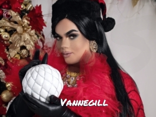 vannegill Ochranne Siete