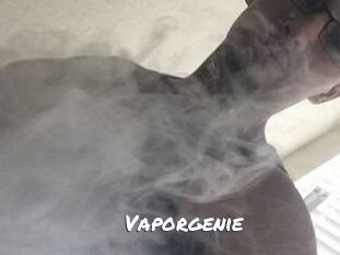 Vapor_genie