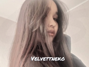 Velvettneko