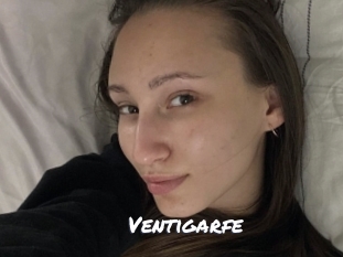 ventigarfe Ochranne Siete