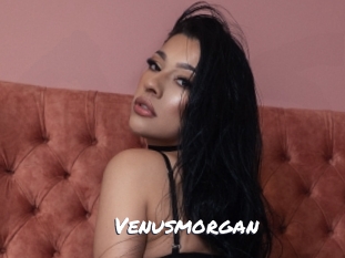 Venusmorgan