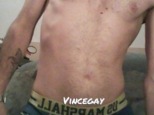 Vincegay