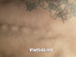 Vinsdelice