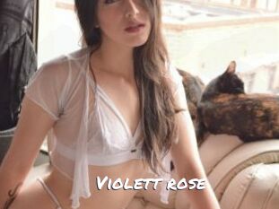 Violett_rose