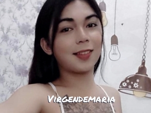 Virgendemaria
