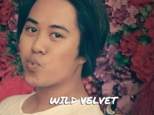 WILD_VELVET